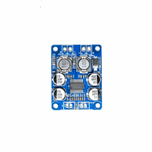 TPA3118 PBTL Mono Digital Amplifier Board 1X60W 12V 24V Power Amplifier Module