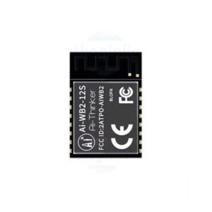 Ai-Thinker Ai-WB2-12S Module