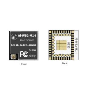 Ai-Thinker Ai-WB2-M1-I Module