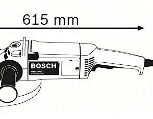 GWSS1