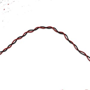 2.54mm Cable - 2pin 2.54mm Twist Female to FemaleDupont Cable