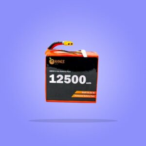 6 Cell (22.2V-25.2V)