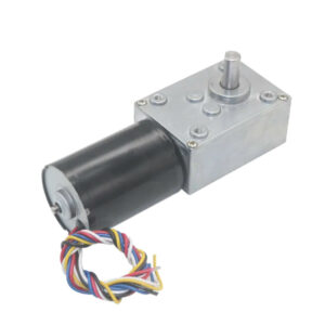 24v Motor 459462 - bldc_worm_gear-80 RPM