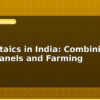 blog agrivoltaics in india combining solar panels and farming 598229
