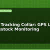 blog animal tracking collar gps lora for livestock monitoring 599536