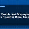 blog display module not displaying common fixes for blank screen 597664