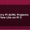 blog raspberry pi ai ml projects tensorflow lite on pi 5 595152