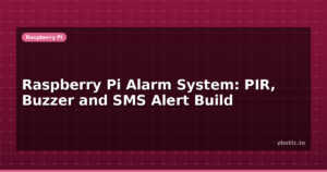 Raspberry Pi Alarm System: PIR, Buzzer and SMS Alert Build