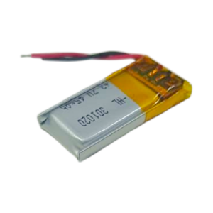 KP301020 1
