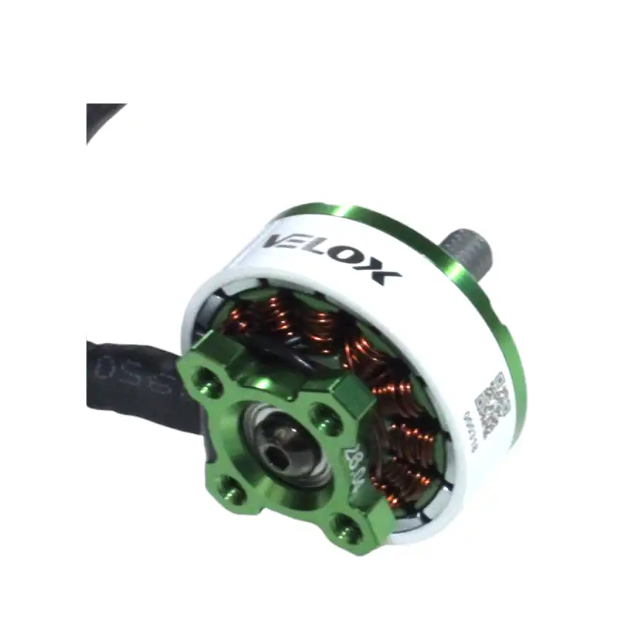 OIP 4 1