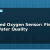 blog dissolved oxygen sensor fish farm water quality 613728