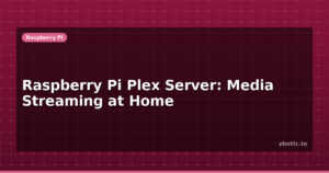 Raspberry Pi Plex Server: Media Streaming at Home