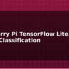 blog raspberry pi tensorflow lite image classification 613806