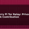 blog raspberry pi tor relay privacy network contribution 613586