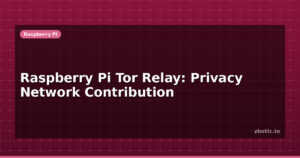 Raspberry Pi Tor Relay: Privacy Network Contribution