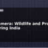 blog trail camera wildlife and property monitoring india 613655