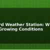 blog vineyard weather station wine grape growing conditions 614511
