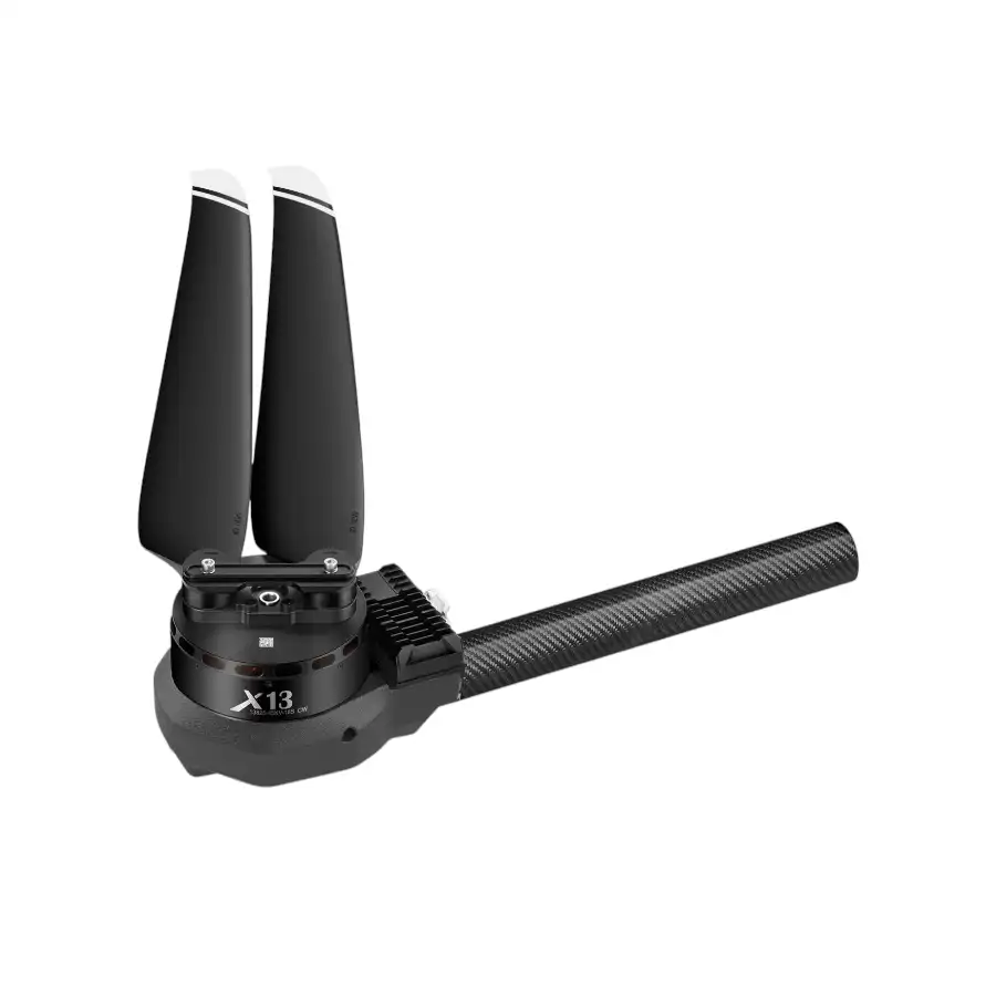 OIP 24 1